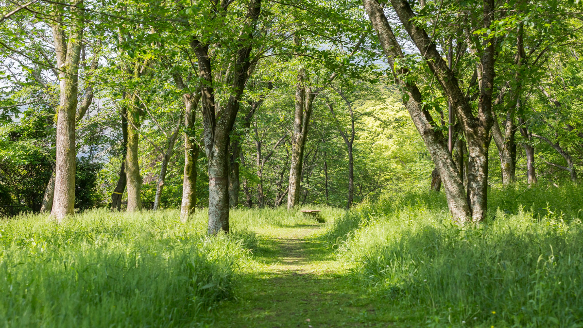 Vreme caldă și cer variabil pe 18 mai: temperaturile urcă până la +25°C