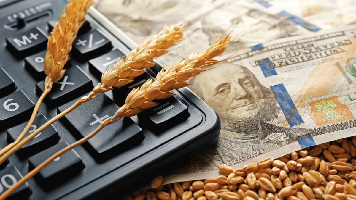 Start depunerii cererilor: fermierii afectați de seceta din 2025 pot solicita ajutor financiar