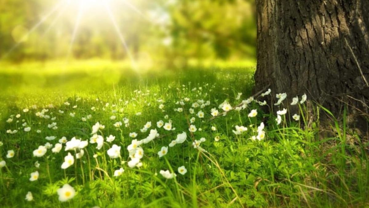 Vreme mai bună în weekend: temperaturile cresc în următoarele zile, dar nu scăpăm de ploi