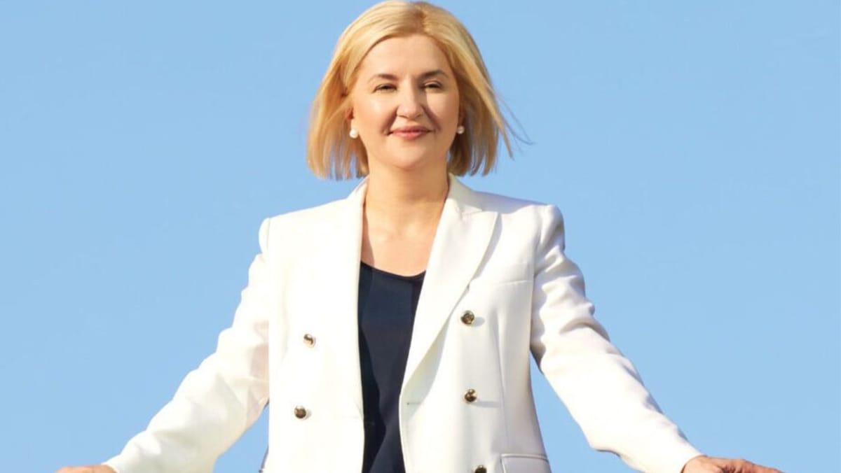 UE sancționează șase persoane pentru acțiuni de destabilizare a Republicii Moldova. Irina Vlah, în listă