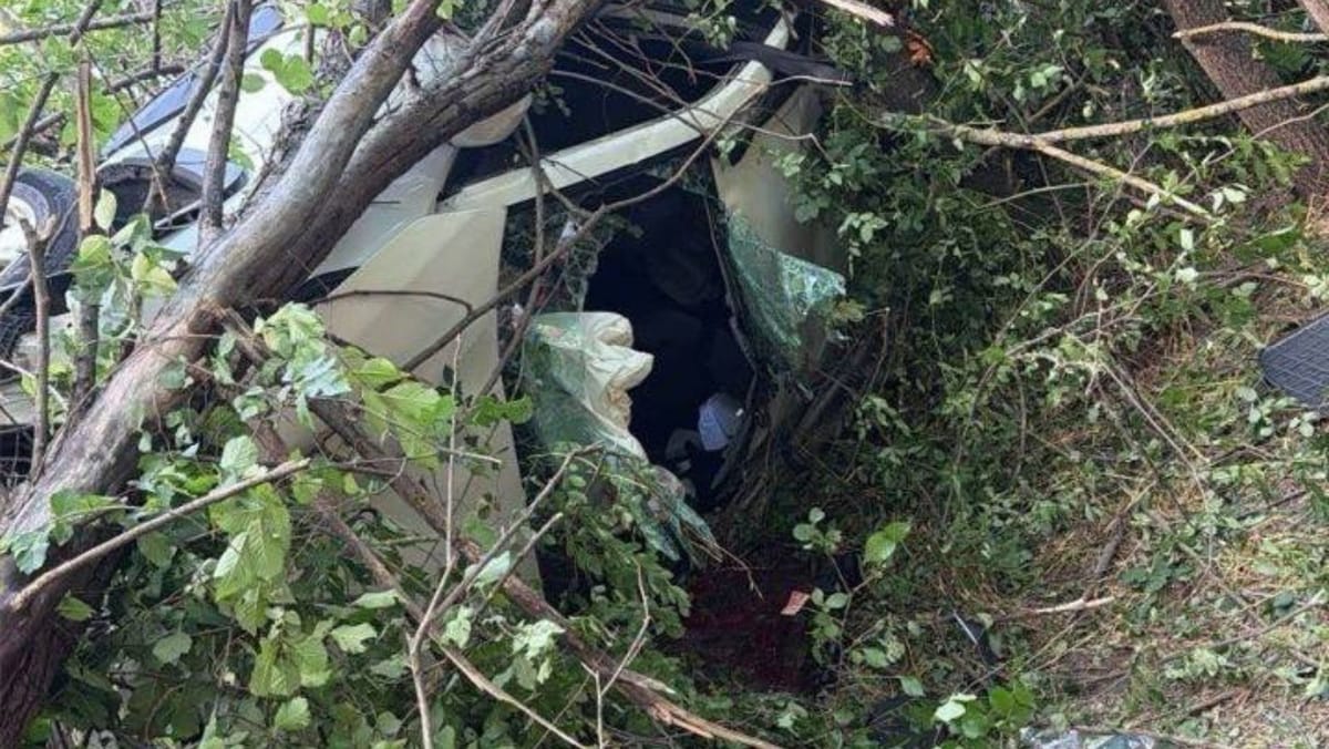 Un automobil cu cetățeni israelieni s-a inversat  în raionul Criuleni. O persoană a murit, iar alte patru au fost rănite