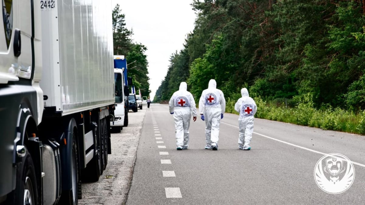 Ucraina a repatriat corpurile neînsuflețite a peste 500 de persoane