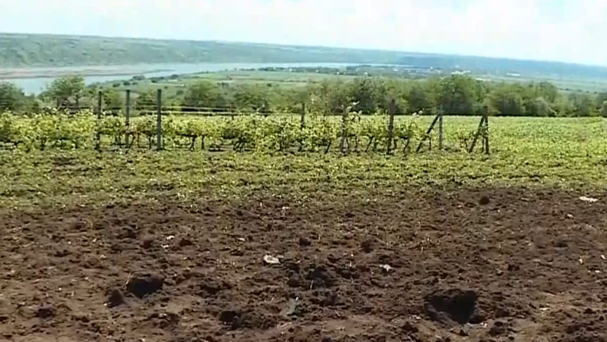 Explozia dronei de la Lopatna pune autoritățile în dificultate. Proprietarul terenului afectat cere despăgubiri