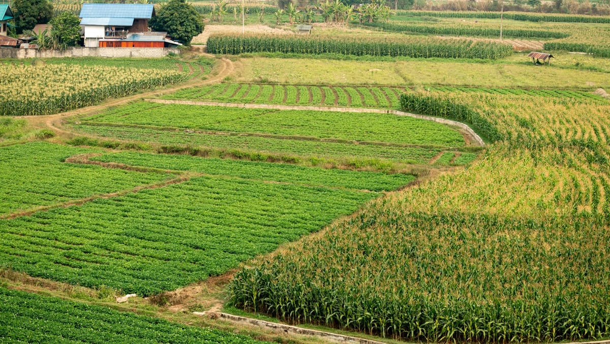 Fermierii vor putea primi plăți mai ușor. R. Moldova creează un sistem digital pentru parcelele agricole