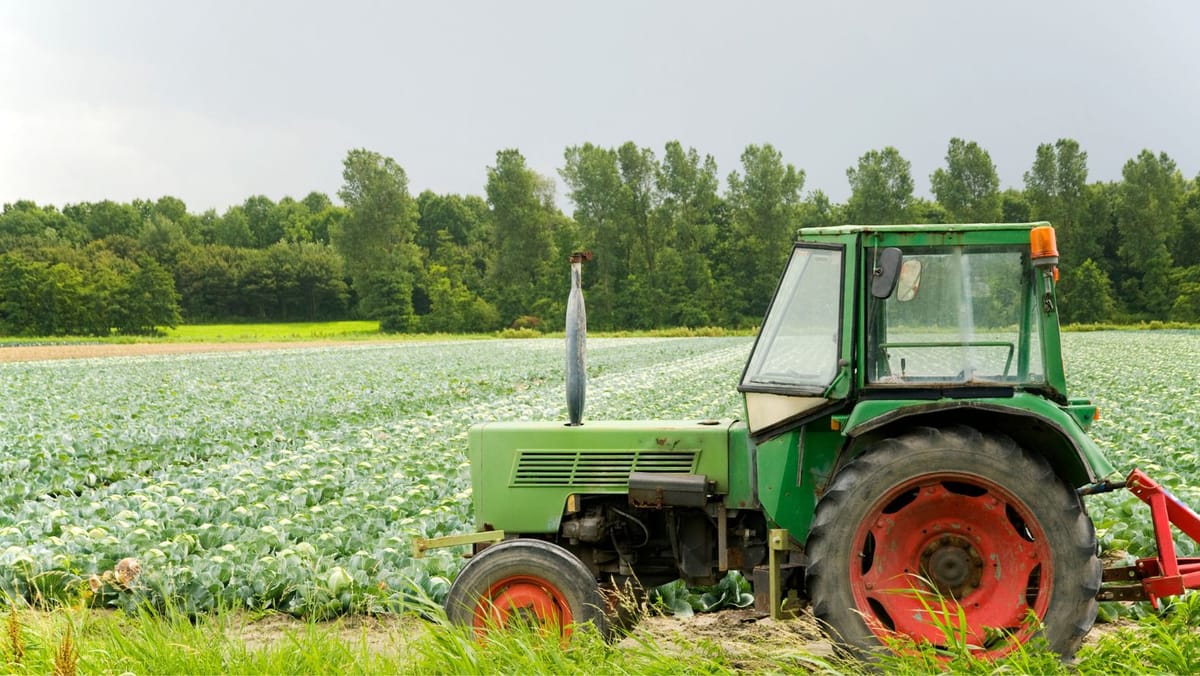 Bani pentru ferme, depozite, irigare și proiecte rurale. AIPA a autorizat subvenții de peste 178 de milioane de lei