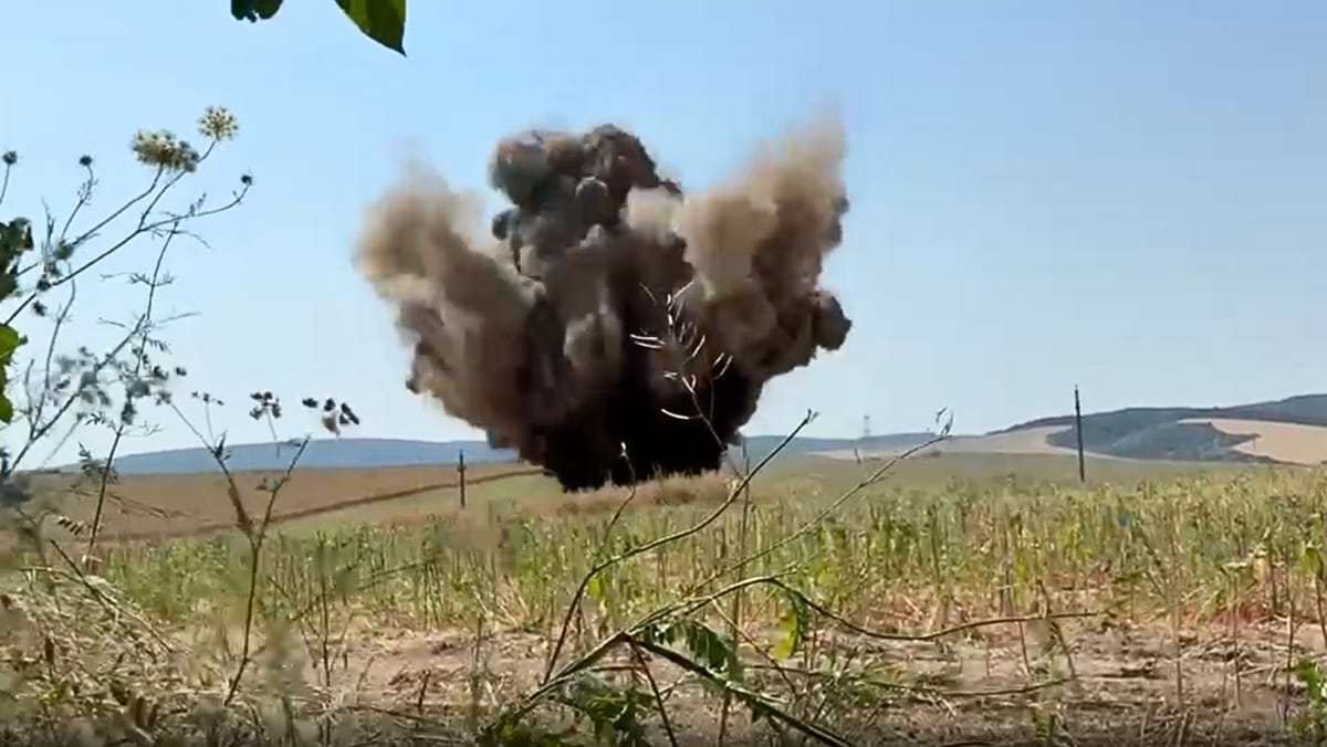 VIDEO/ O dronă cu încărcătură explozivă, găsită într-un lan de rapiță din Tulcea. Momentul în care militarii au detonat-o