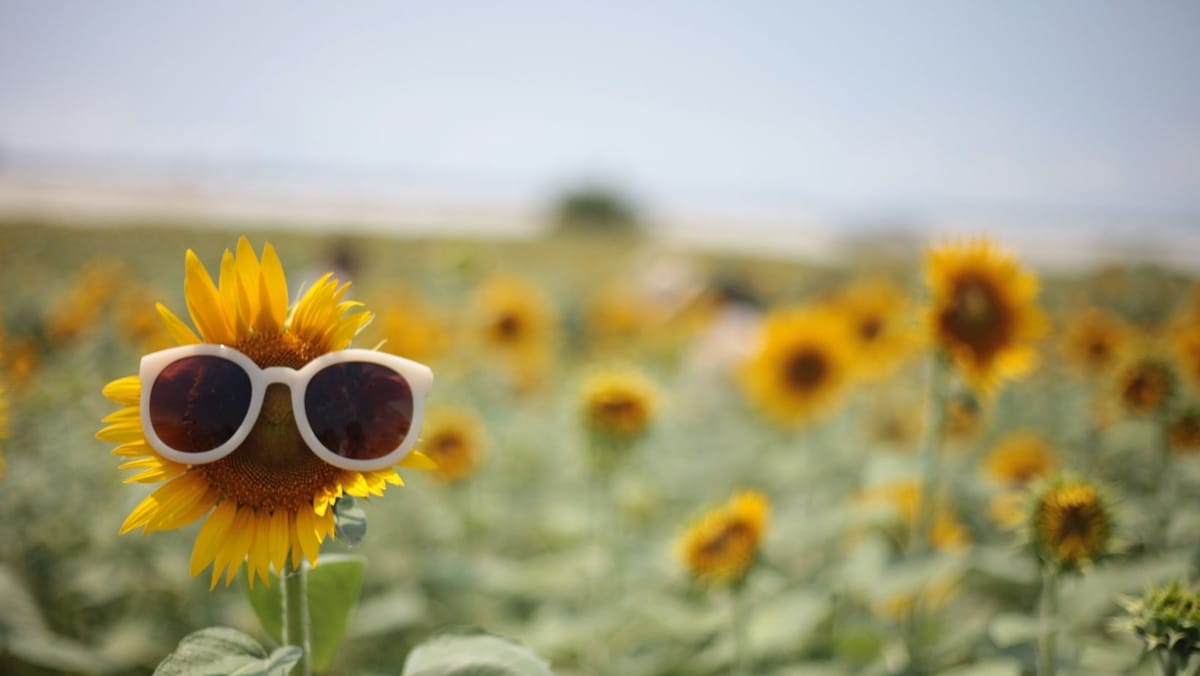 Vreme de vară în toată țara: până la +32°C și fără ploi semnificative