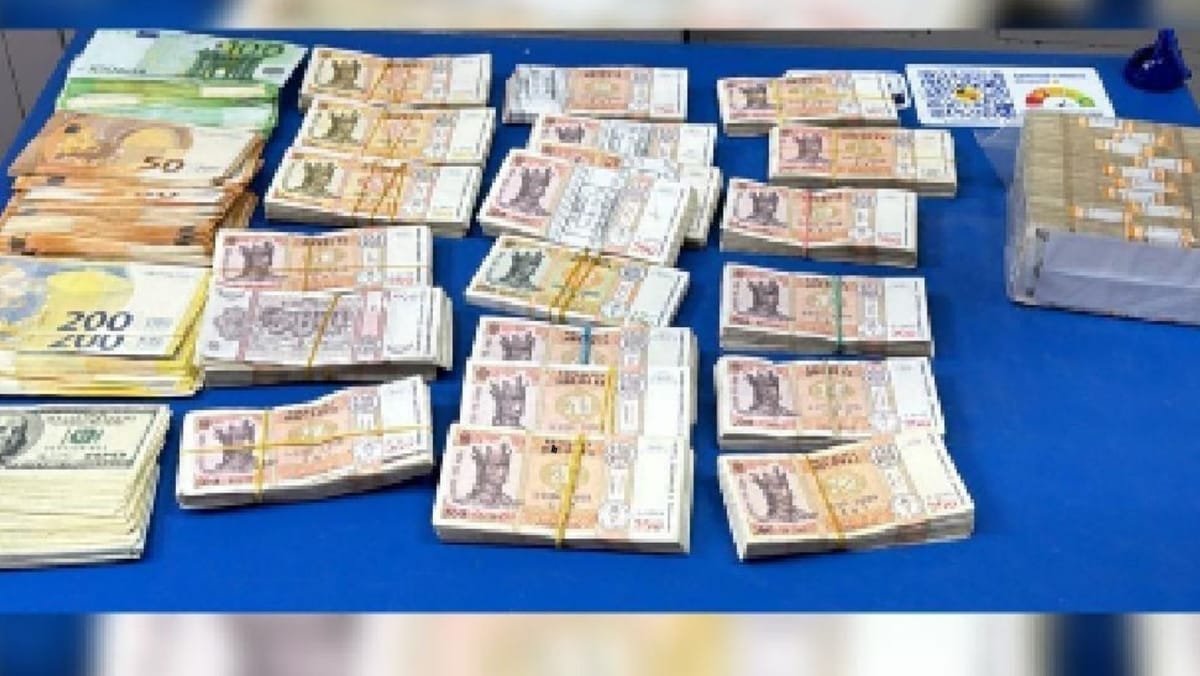 VIDEO/ Administratorul unei companii de construcții, reținut într-un dosar de evaziune fiscală - peste 4,4 milioane de lei