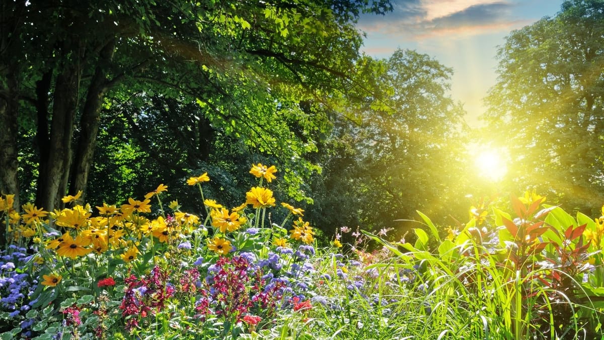 Vreme frumoasă în toată țara. Termometrele vor urca până la +29°C astăzi