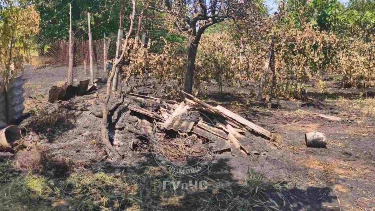 Două incendii de vegetație s-au soldat cu victime: un bărbat a murit, iar altul este în stare gravă la terapie intensivă