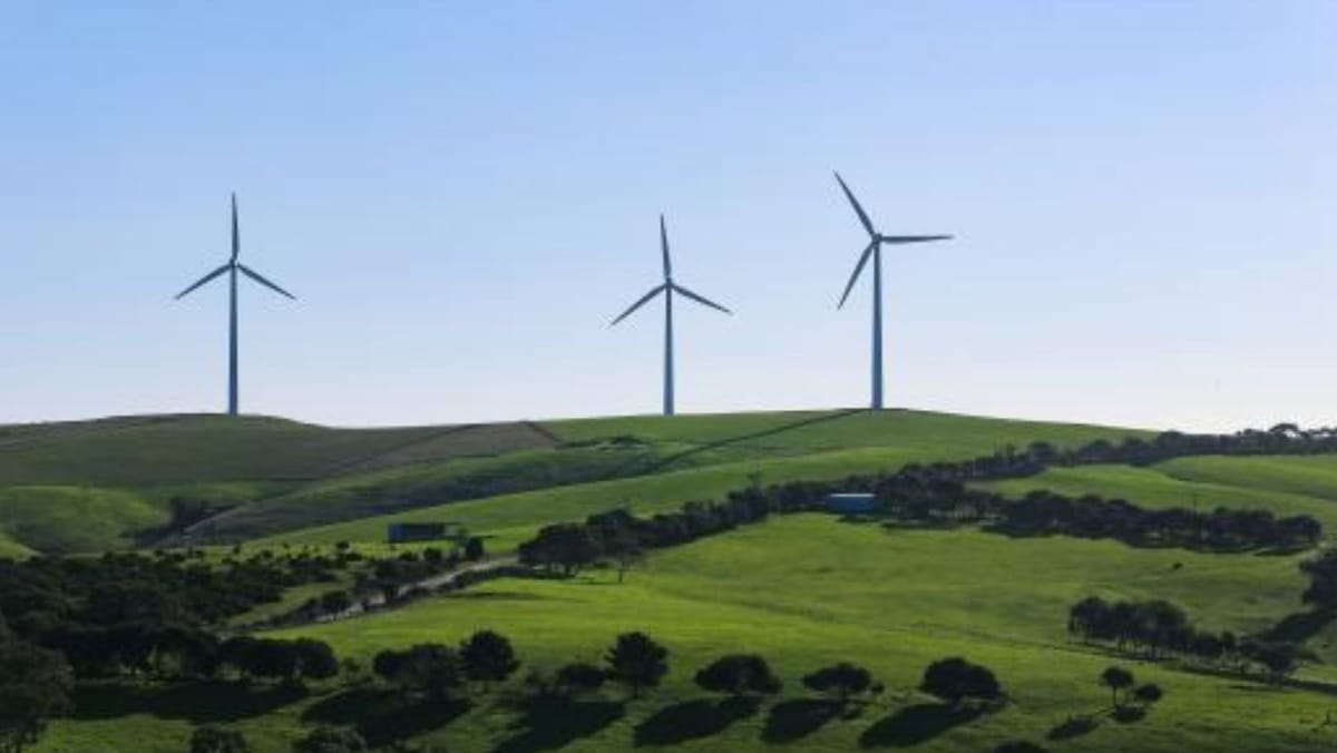 Bătălie pentru proiecte eoliene: cererea depășește de peste două ori oferta statului