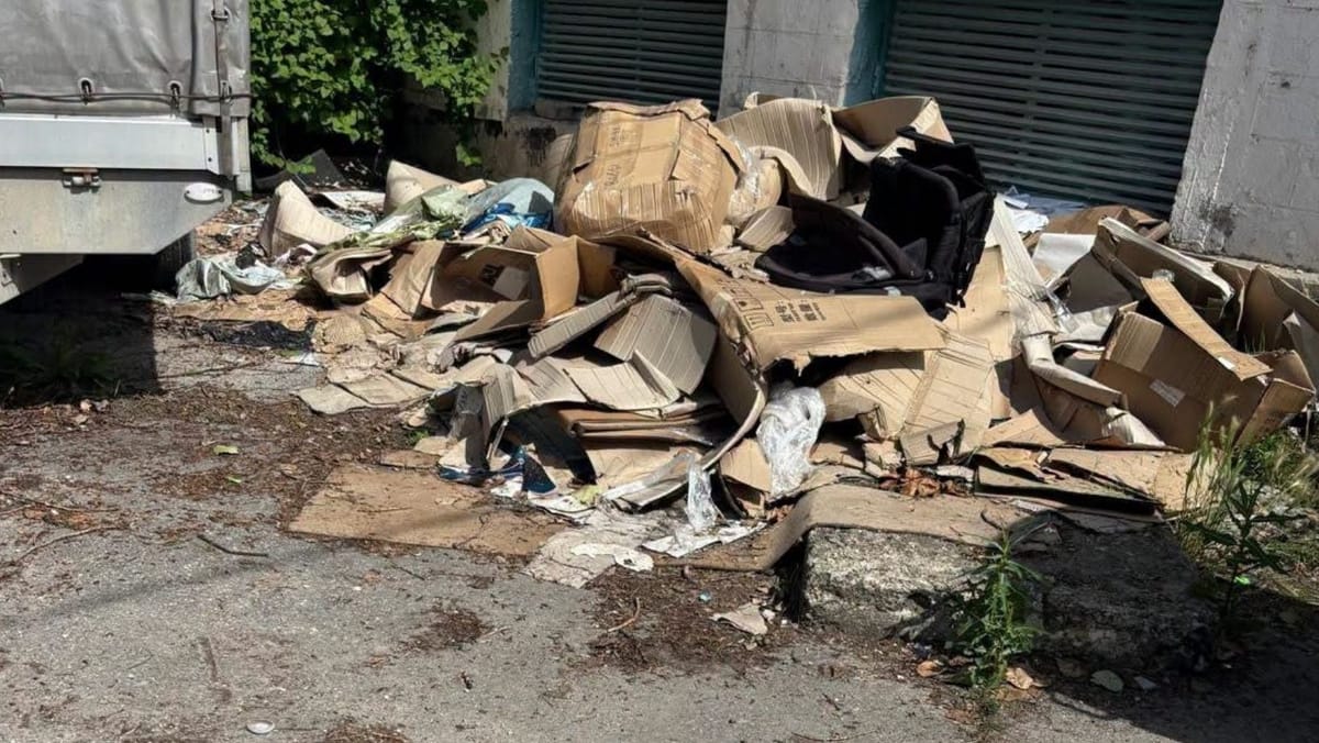 Inspectorii de mediu au împărțit amenzi și au descoperit pagube de zeci de mii de lei la Bălți
