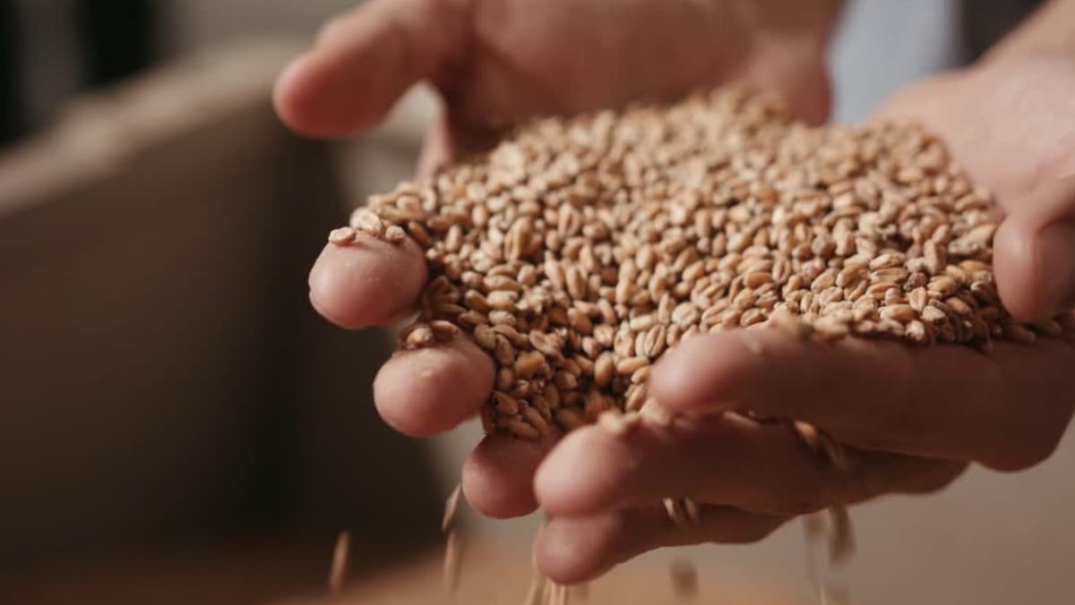 Guvernul lansează o nouă arhitectură a agriculturii pentru 2026-2030: bani mai mulți și reguli mai stricte