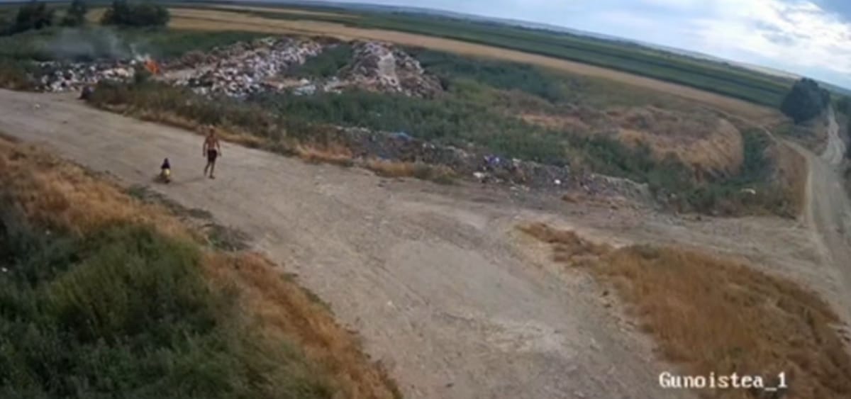 Inspectorii de mediu au găsit persoana care a provocat incendiul de la Gotești