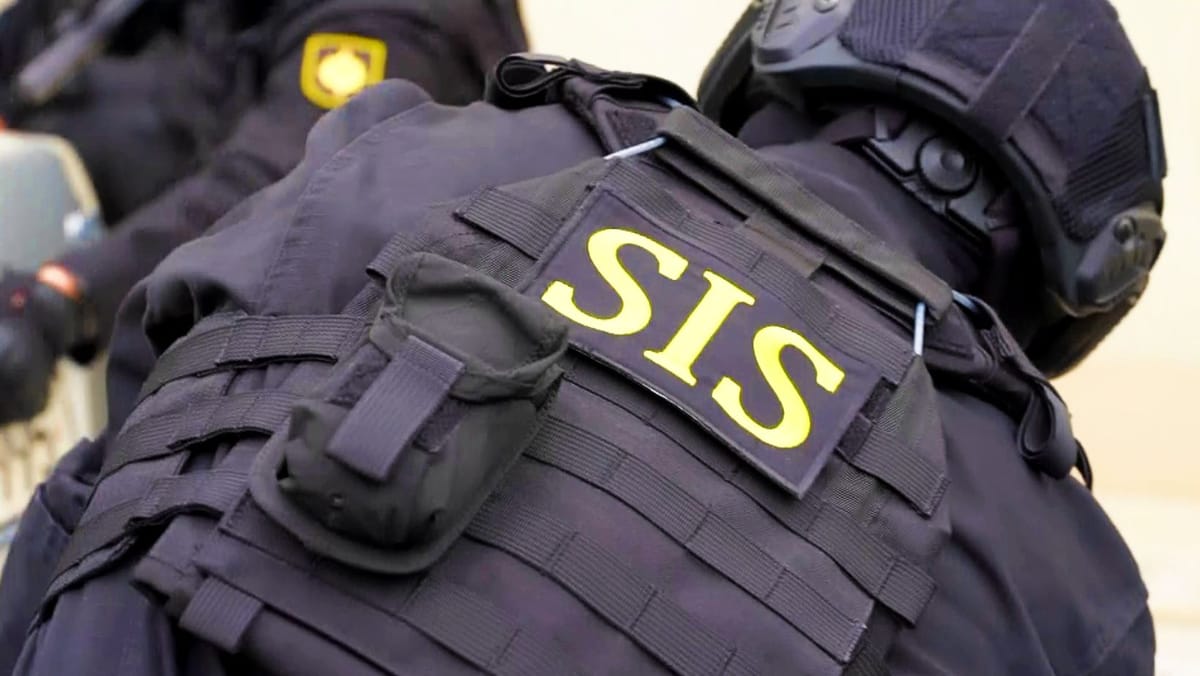 SIS ar putea primi competența de a dispune eliminarea conținutului online cu caracter terorist