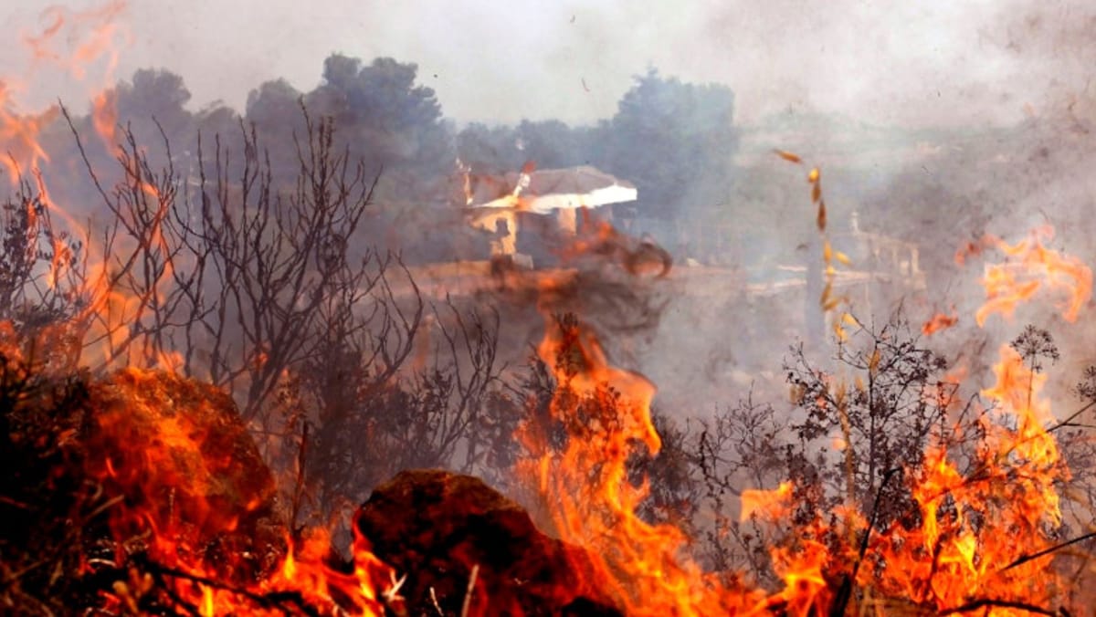 Spania, afectată de cel mai devastator incendiu de vegetație din ultimele două decenii. Cel puțin 11 persoane au murit