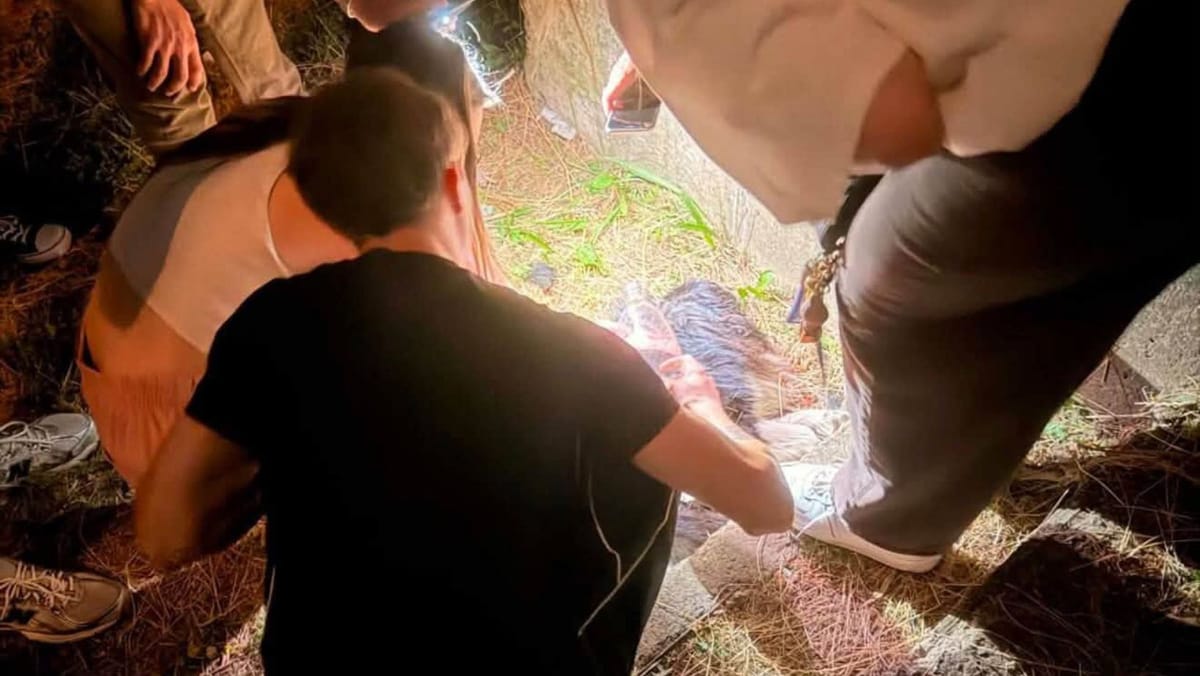 Un câine din orașul Florești a fost înjunghiat și lovit cu un scaun metalic. Ce spune Poliția - FOTO/VIDEO