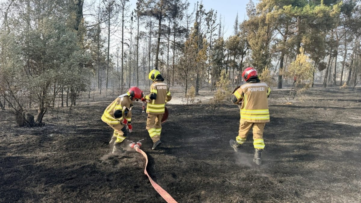 FOTO/ Pompierii moldoveni detașați în Grecia au intervenit la stingerea unui incendiu în apropierea localității Pilea