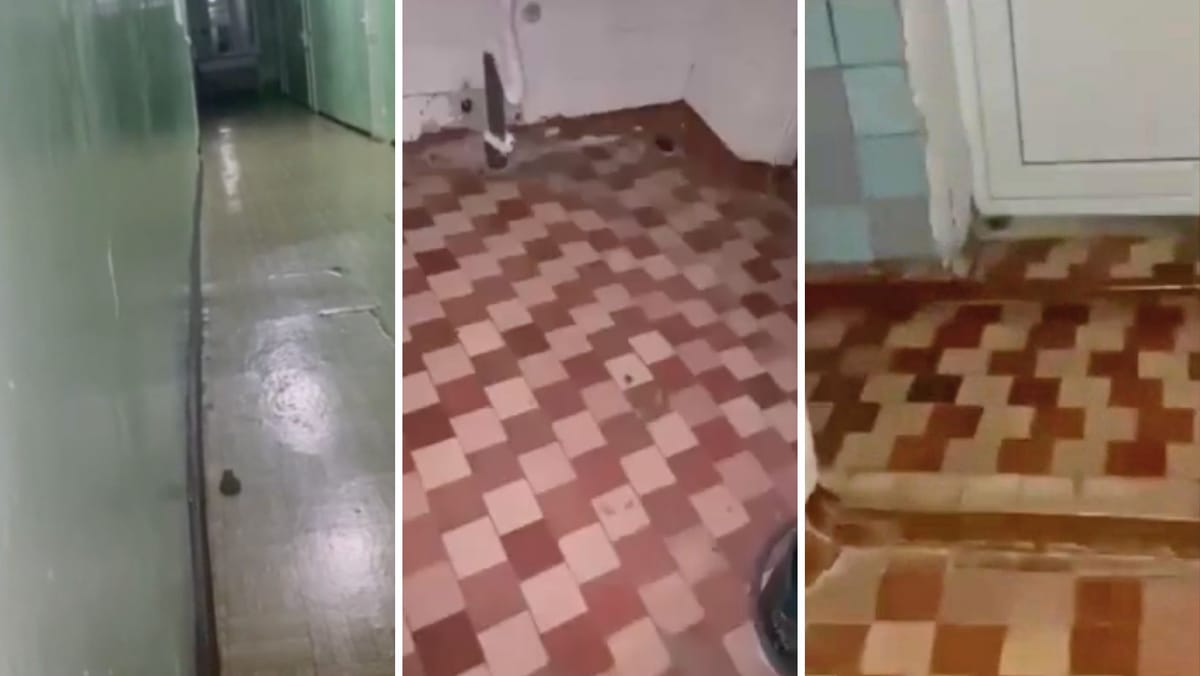 VIDEO/ Broaște în salon și reclamații privind șoareci la Spitalul din Ștefan Vodă. Ministrul transmite un mesaj șefilor