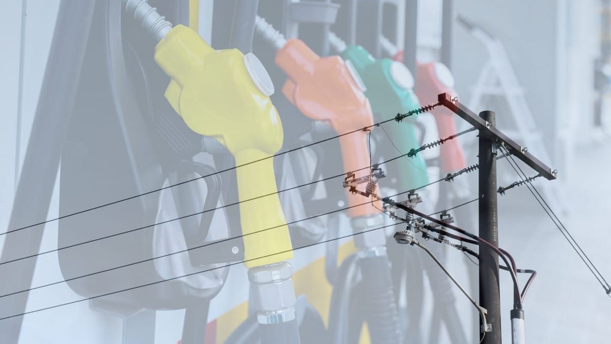 Avem benzină pentru 15 zile și motorină pentru cel mult nouă. Autoritățile avertizează că prețul curentului ar putea crește