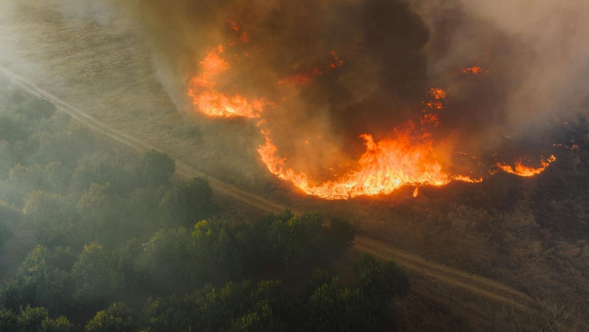 Cod galben de pericol de incendii de vegetație! Avertizarea este valabilă până pe 17 iulie