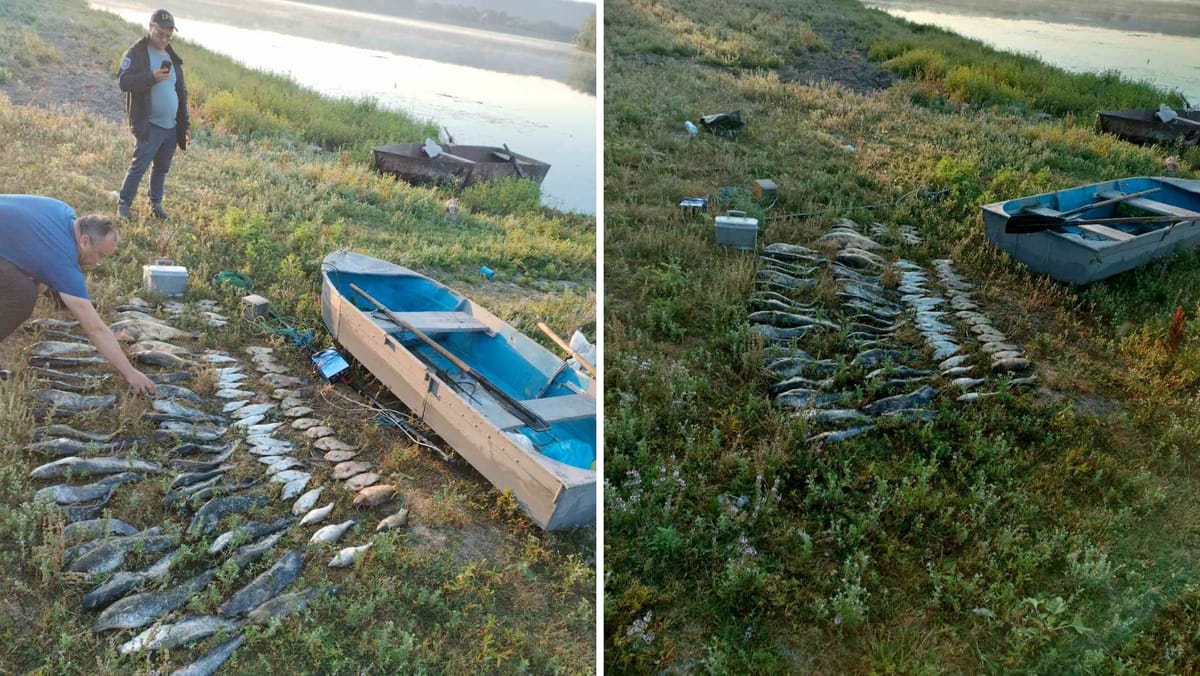 Peste 55 de kilograme de pește, capturate ilegal pe Nistru. Două persoane, surprinse pescuind cu ajutorul curentului electric