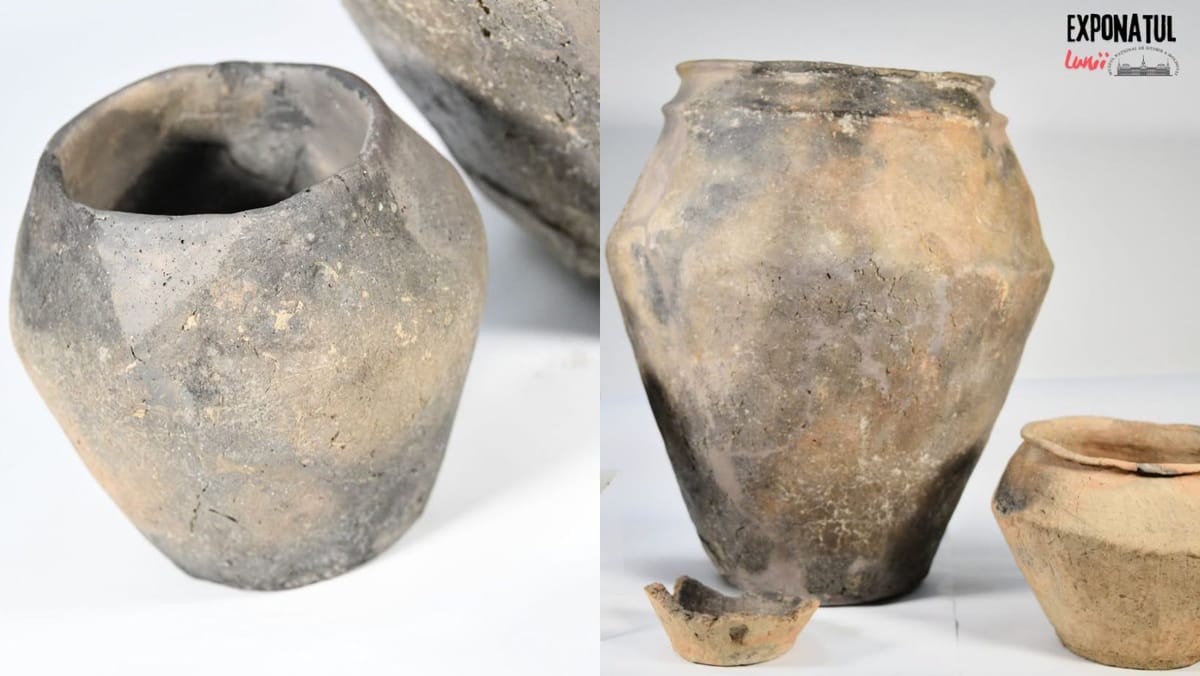 Vase vechi de peste 1.300 de ani, expuse la Muzeul Național de Istorie. Descoperirea rară a fost făcută la Bălceana