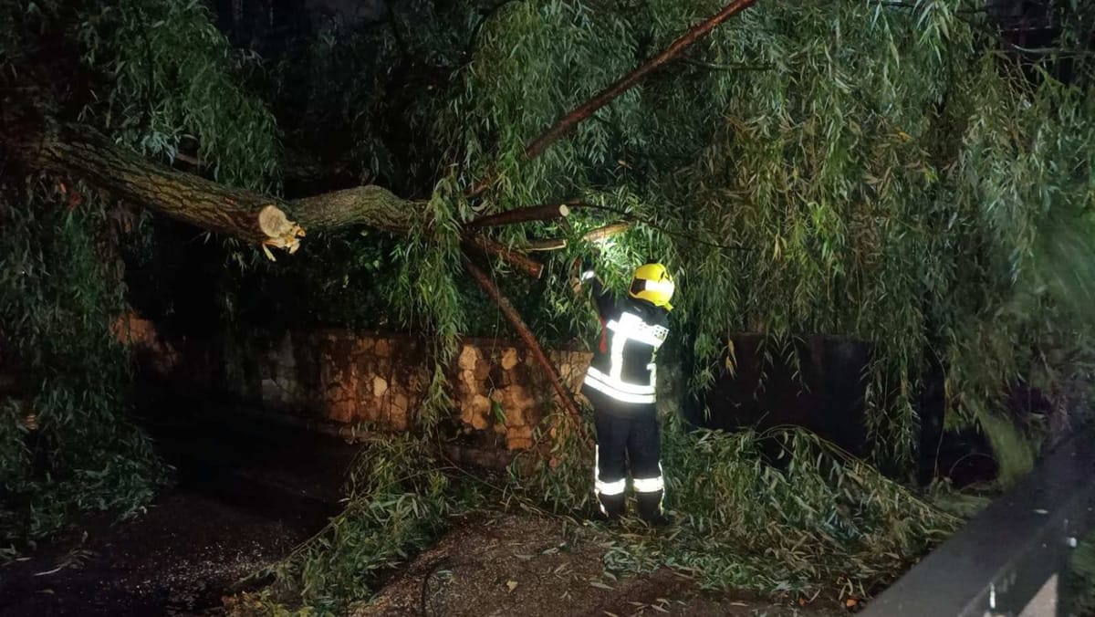 Furtuna a făcut pagube în mai multe localități din țară. Salvatorii au scos arbori căzuți și au pompat apa din subsoluri