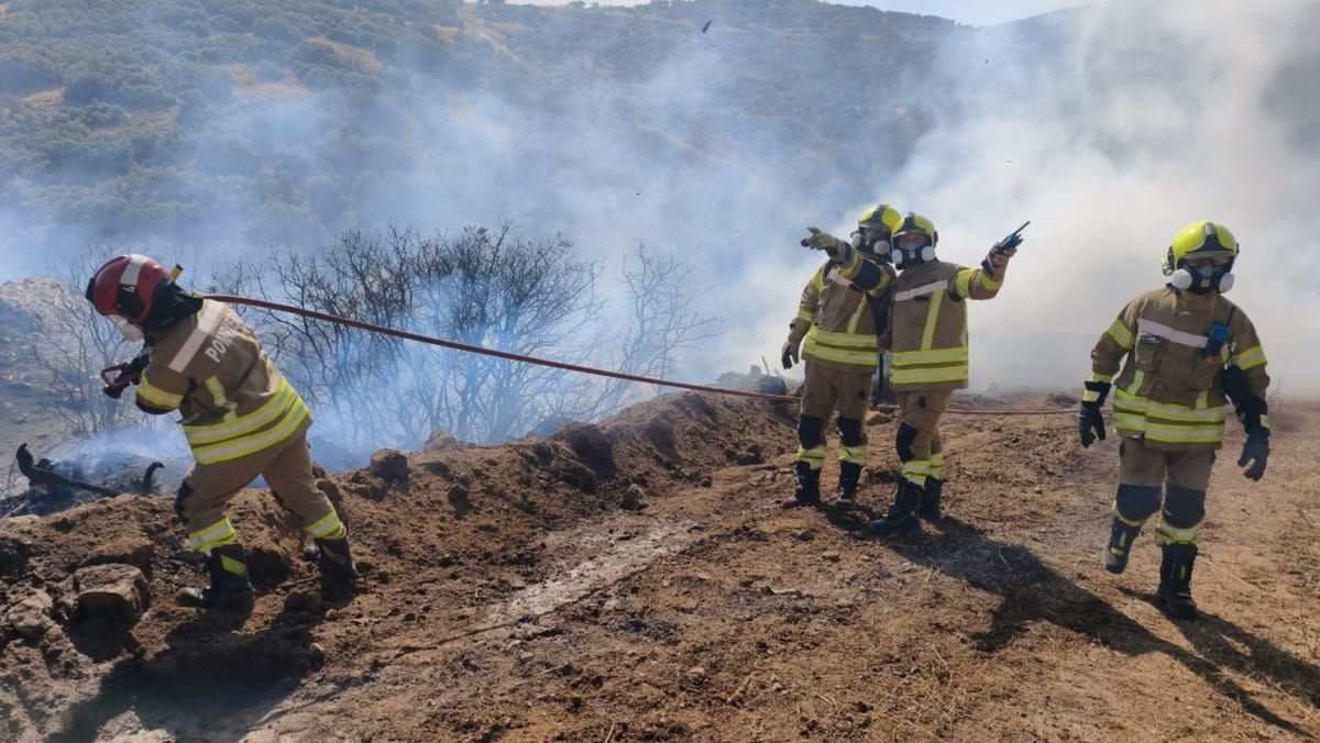 Pompierii moldoveni au luptat timp de șapte ore cu flăcările din Grecia. Incendiul amenința localitățile din apropiere