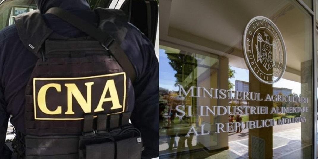 Corupție! CNA: Secretar de stat de la Ministerul Agriculturii și un reprezentant al unui agent economic