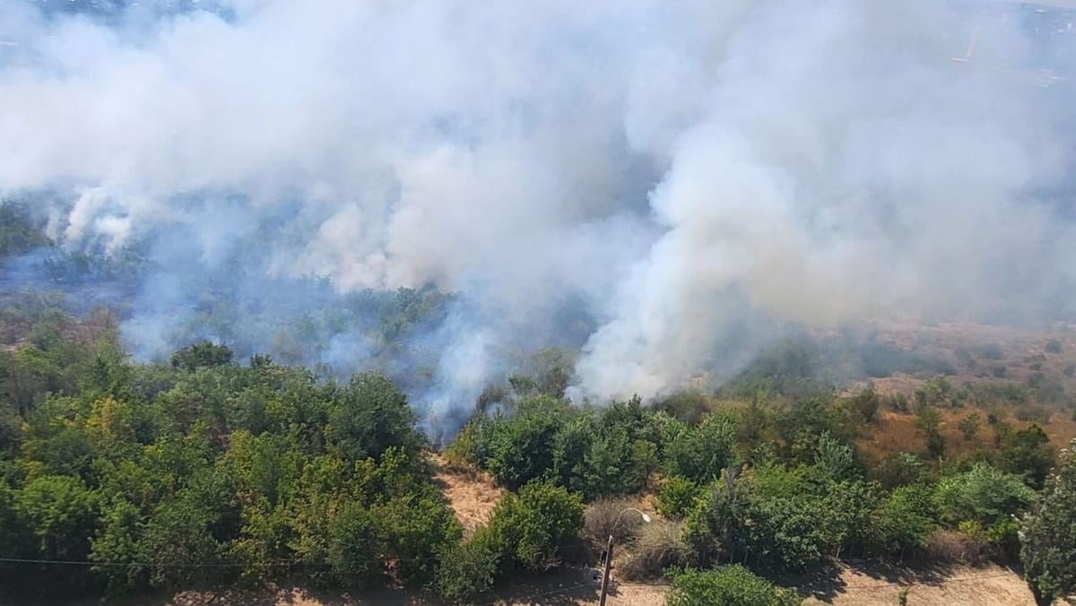 VIDEO/ Incendiu de vegetație în capitală. Șase echipaje de pompieri și salvatori lichidează focarul