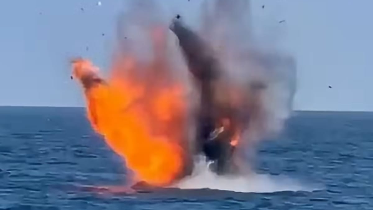 VIDEO/ Scafandrii Forțelor Navale Române au detonat două drone Gerbera în Marea Neagră