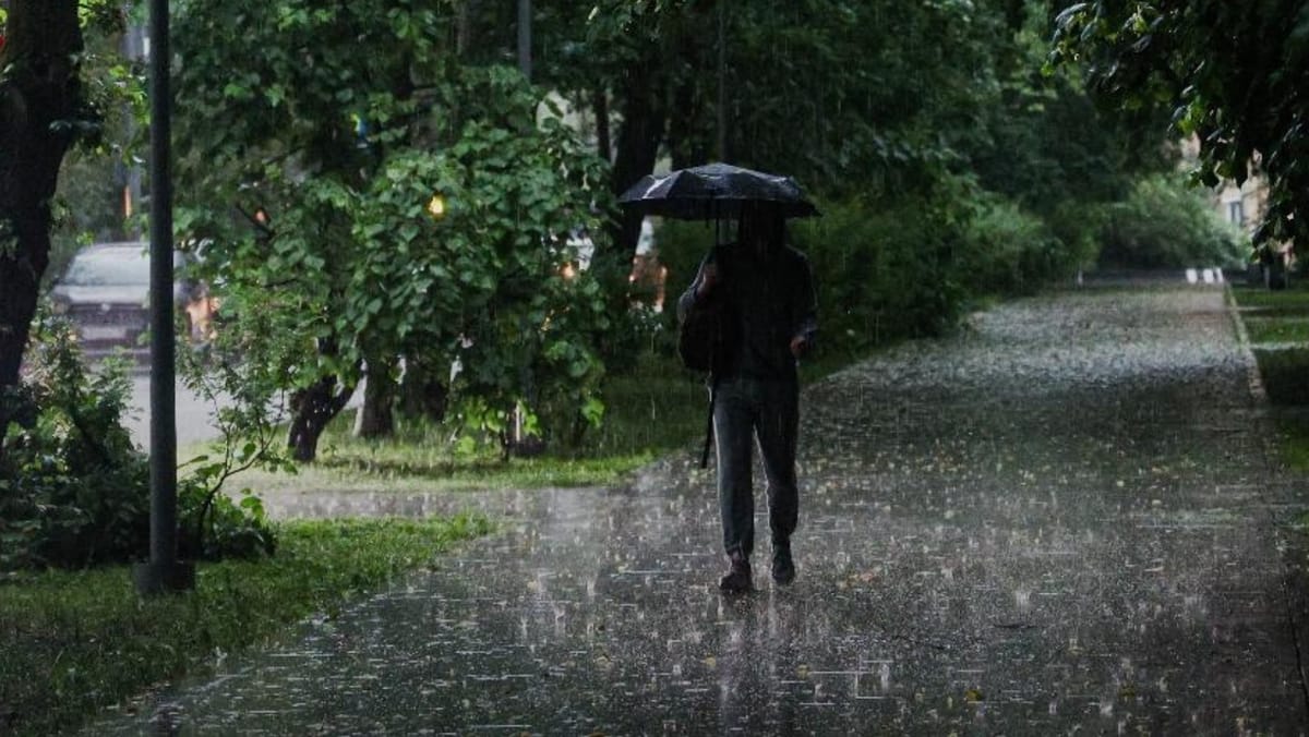În nordul și centrul țării vin ploile! Meteorologii au emis cod galben de instabilitate atmosferică