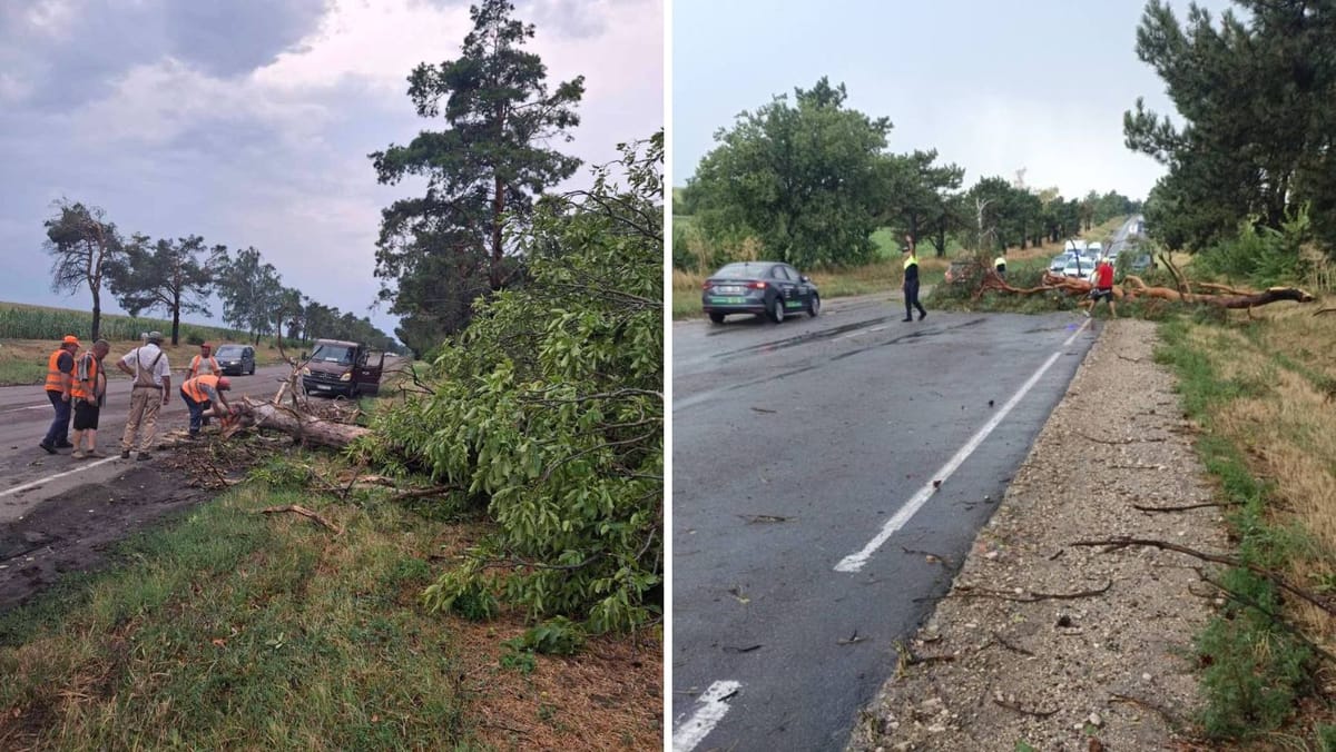 Atenție! Furtuna a doborât mai mulți copaci pe drumurile din nordul țării. Circulația a fost restabilită