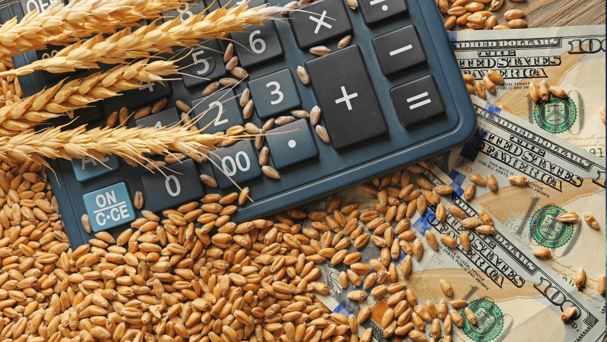 Fermierii au accesat credite de aproape 600 de milioane de lei la o dobândă de doar 5,1%