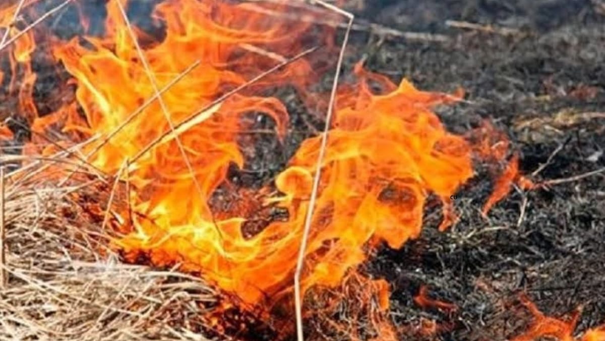 Bărbat din Edineț, grav rănit după ce a încercat să stingă un incendiu de vegetație. IGSU: Nu vă puneți viața în pericol