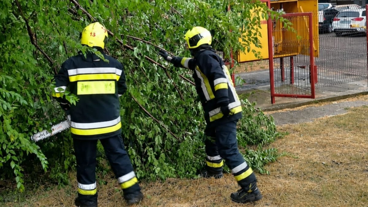 Vântul puternic și ploile au făcut ravagii: arbori prăbușiți peste blocuri, case, o farmacie și un automobil