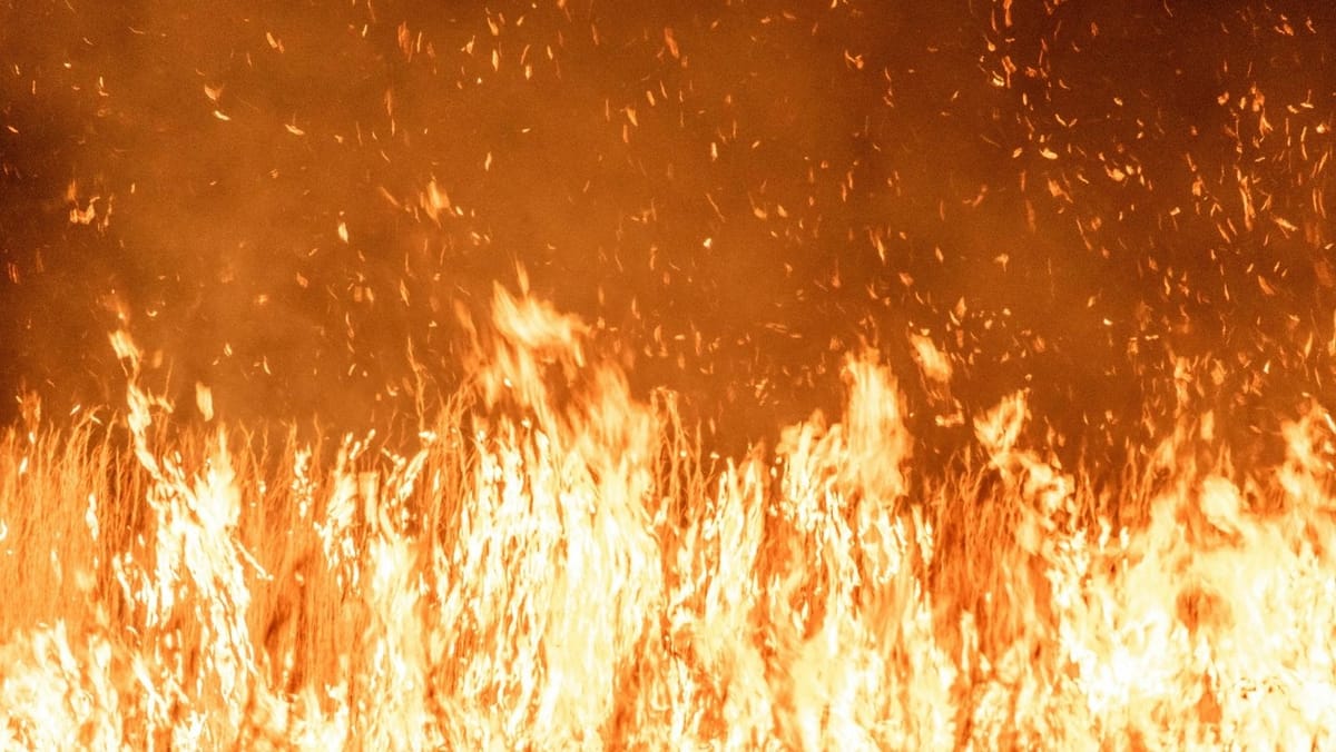 Incendiile au scăzut cu 40% în iulie 2026. IGSU: Măsurile de prevenire și intervențiile rapide au dat rezultate