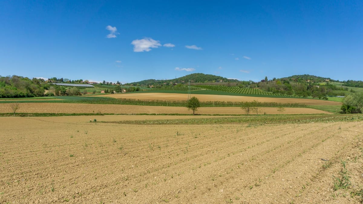 Statul scoate la arendă circa 20 de terenuri agricole pentru cinci ani. Înscrierile sunt deschise până pe 21 septembrie