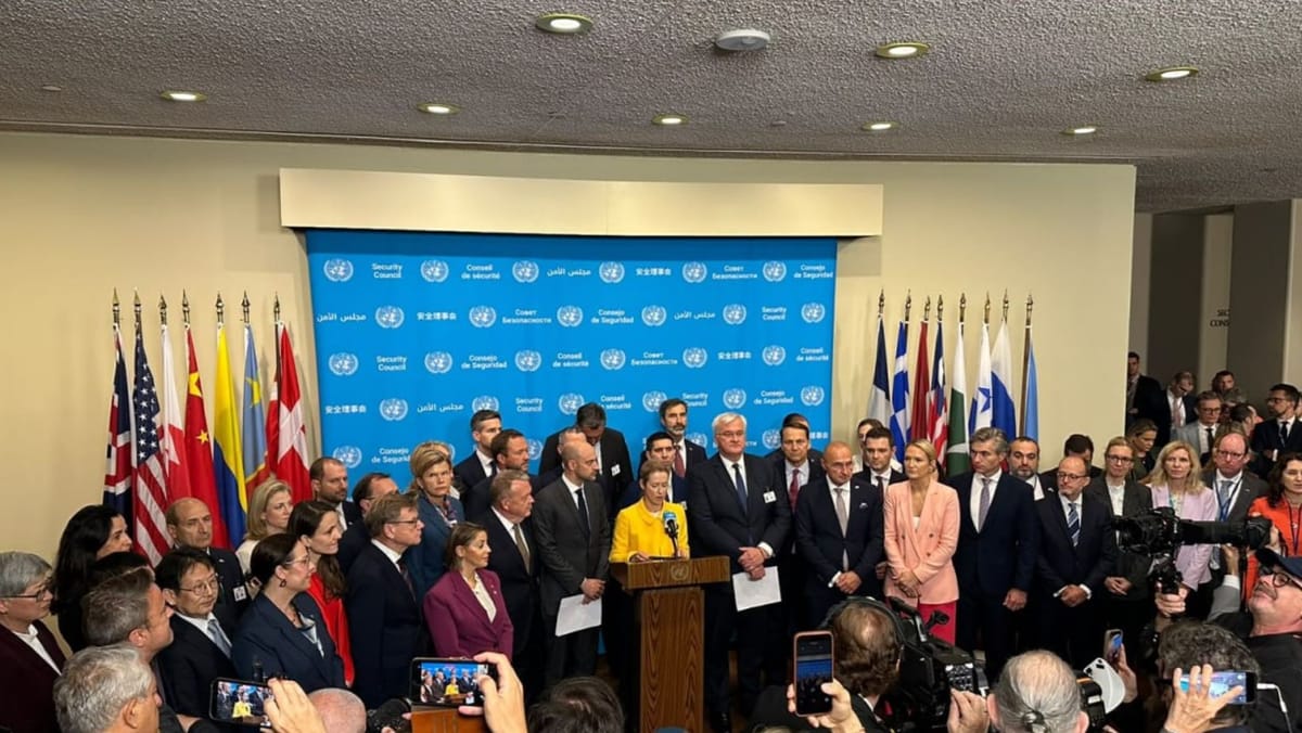 Apel comun la ONU: Republica Moldova cere, alături de zeci de state, încetarea imediată a focului în Ucraina
