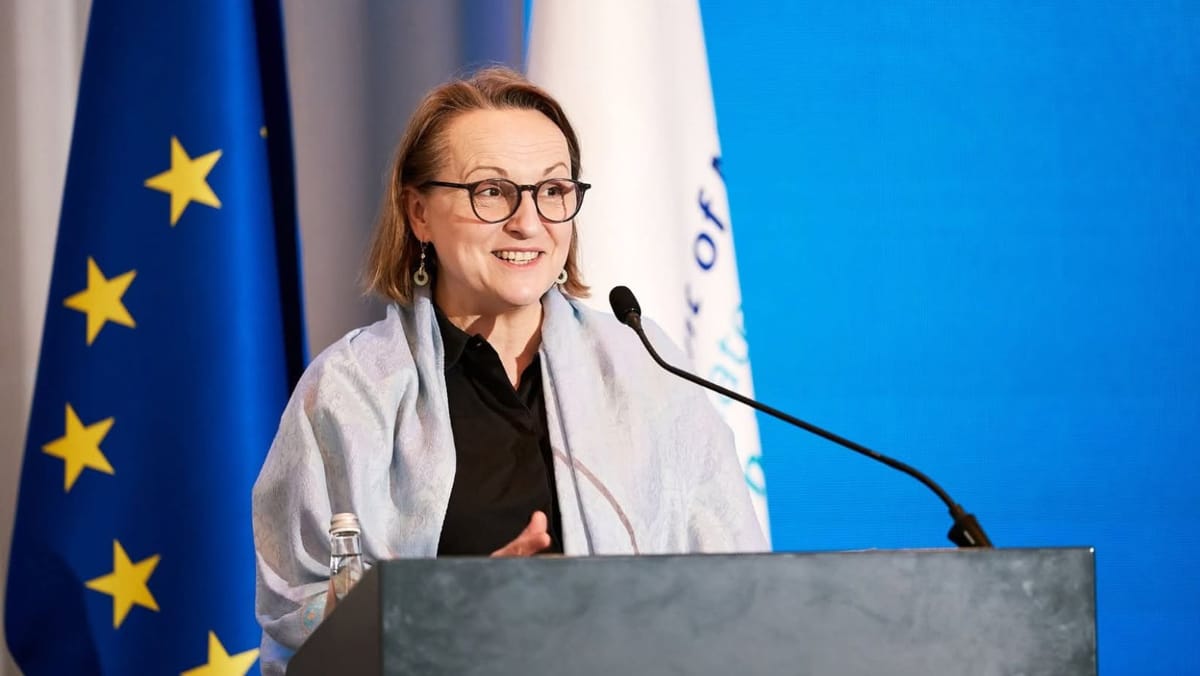 Ambasadoarea UE: „Progresul R. Moldova spre aderare depinde de rezultatele din justiție și combaterea corupției”