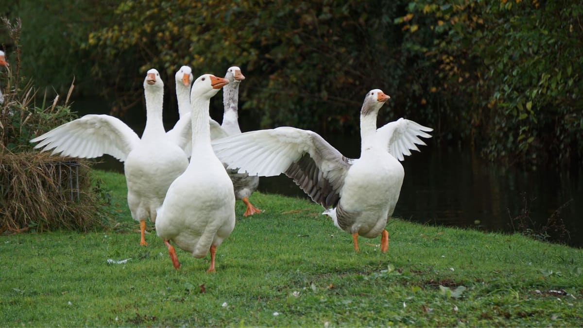 Astăzi vom avea din nou vreme de vară, cu temperaturi de până la 30 de grade