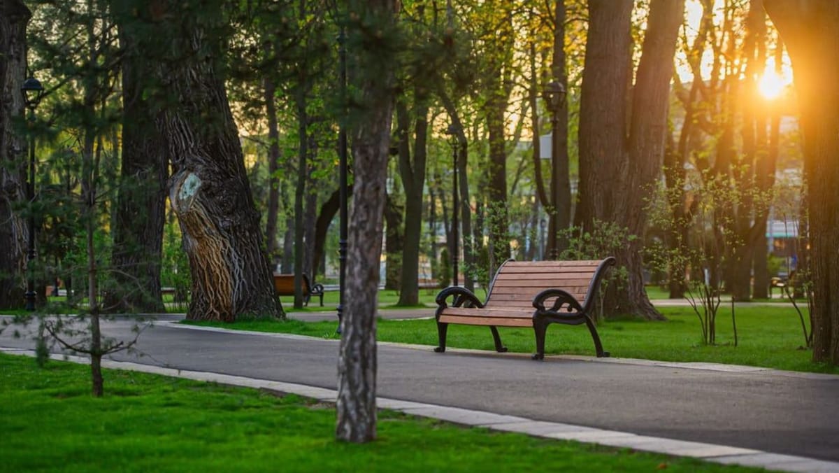 Dimineață rece, zi caldă. Meteorologii prognozează pentru astăzi temperaturi de până la 25 de grade Celsius