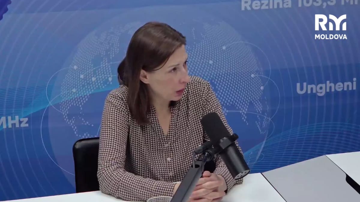 STRATCOM nu poate obliga platformele online să șteargă conținutul. Liliana Vițu explică cum funcționează instituția
