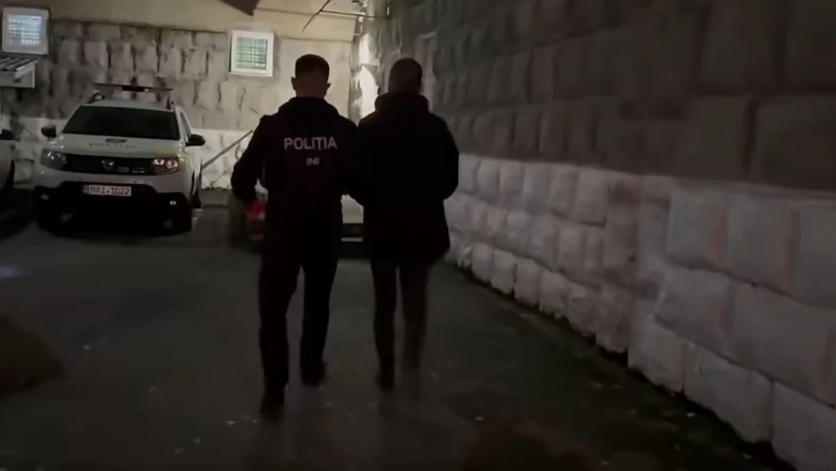 Doi bărbați, reținuți într-un dosar de escrocherii cu automobile importate din China