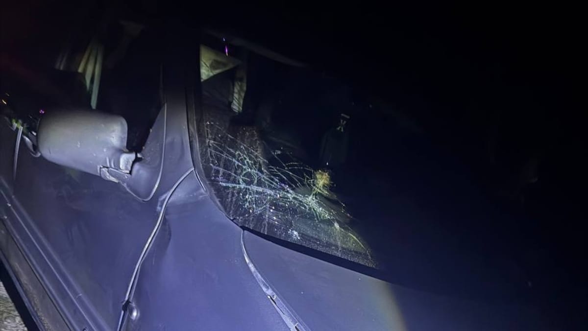Accident mortal în raionul Strășeni: O femeie a fost tamponată în timp ce ducea o bovină de funie