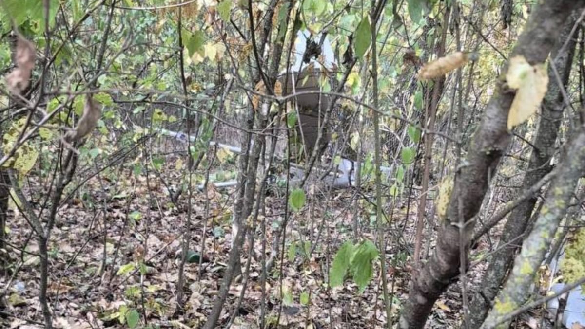 O dronă s-a prăbușit aseară într-o pădure din raionul Anenii Noi. Obiectul nu a fost detectat de radare