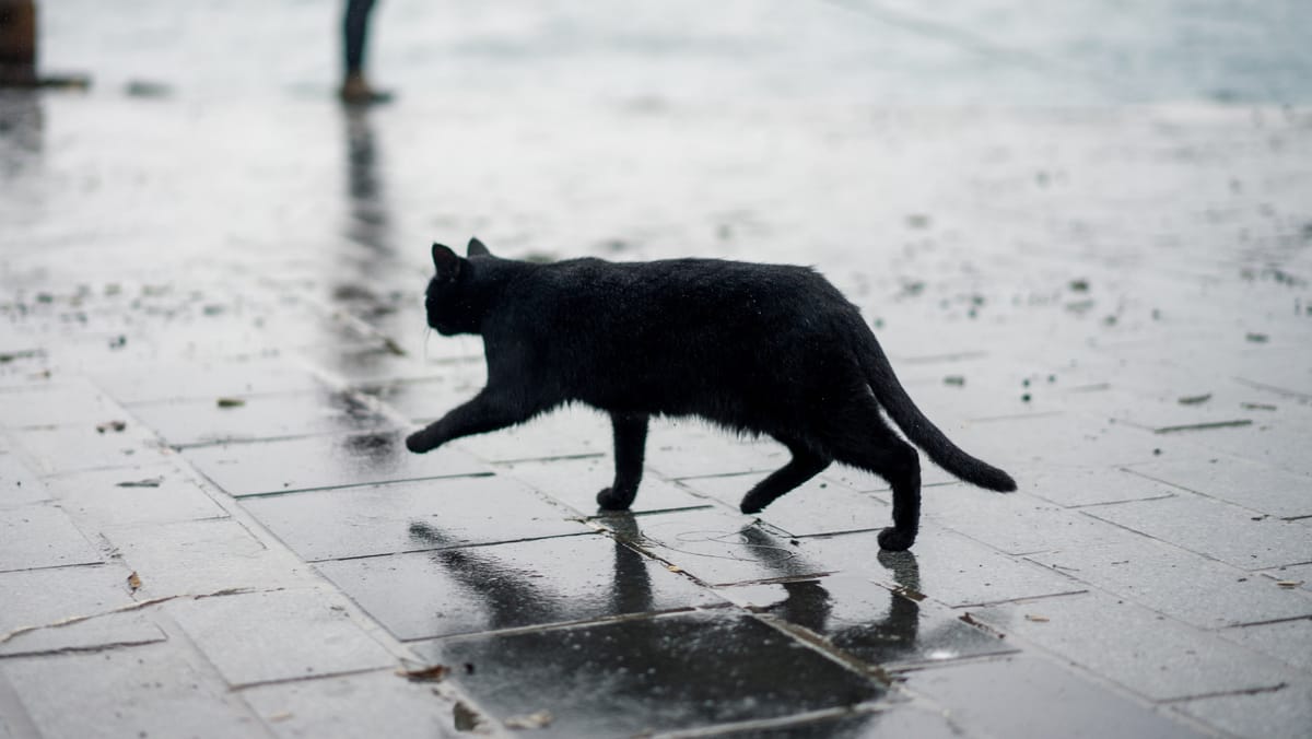 Zi de luni cu temperaturi în scădere și ploi în toată țara. Mercurul din termometre nu va urca mai sus de +20°C