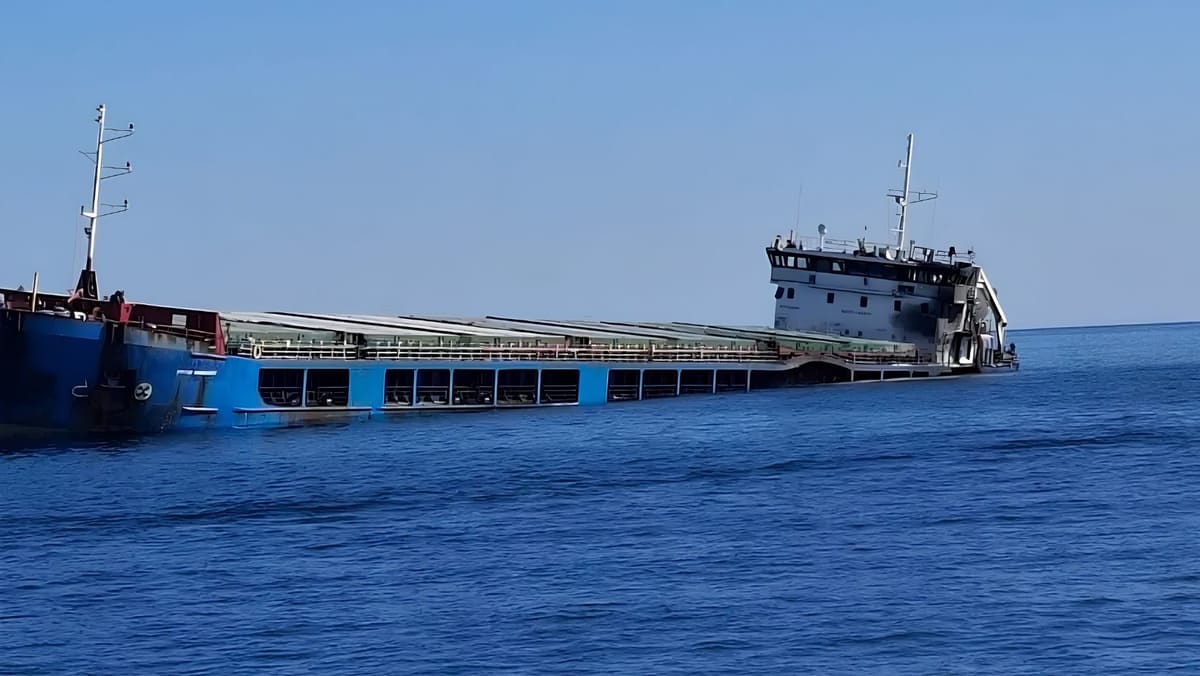 O navă care se îndrepta spre Portul Giurgiulești, lovită de trei drone în Marea Neagră. Echipajul a fost evacuat