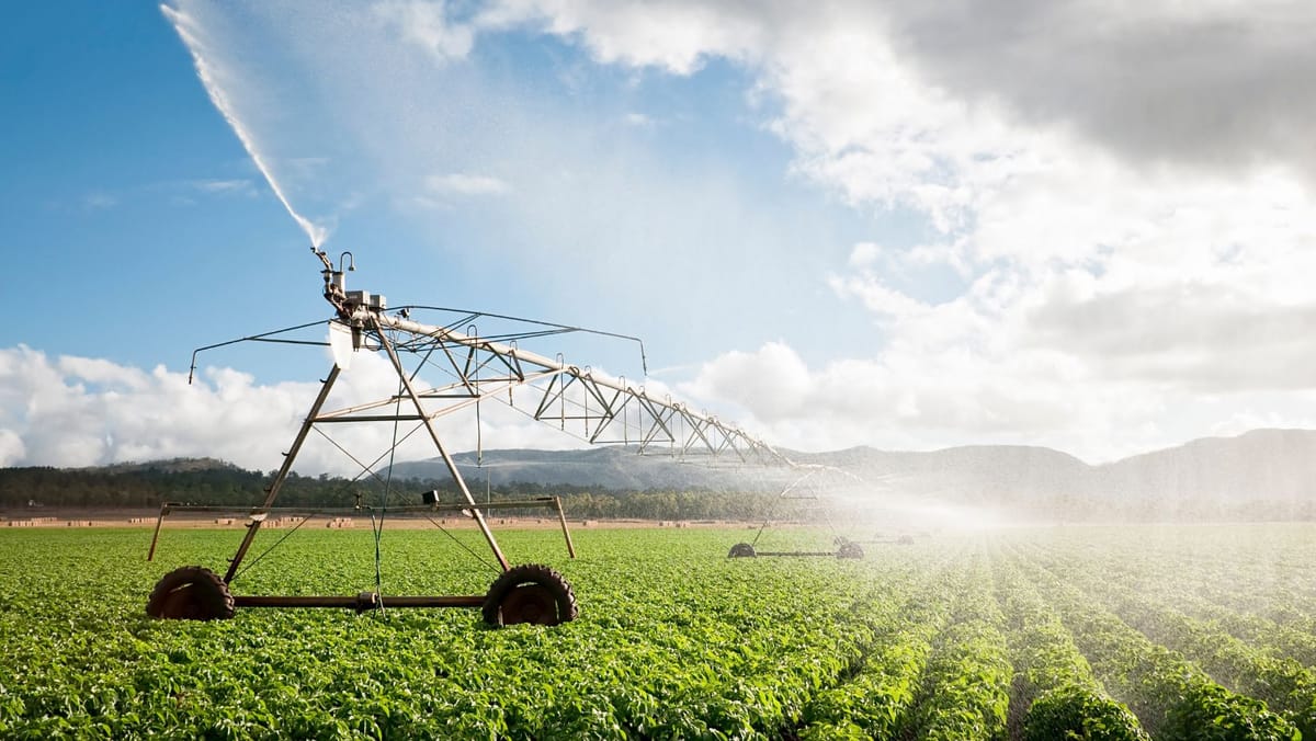 Producția agricolă s-ar putea tripla pe terenurile vizate de un proiect de modernizare a irigațiilor